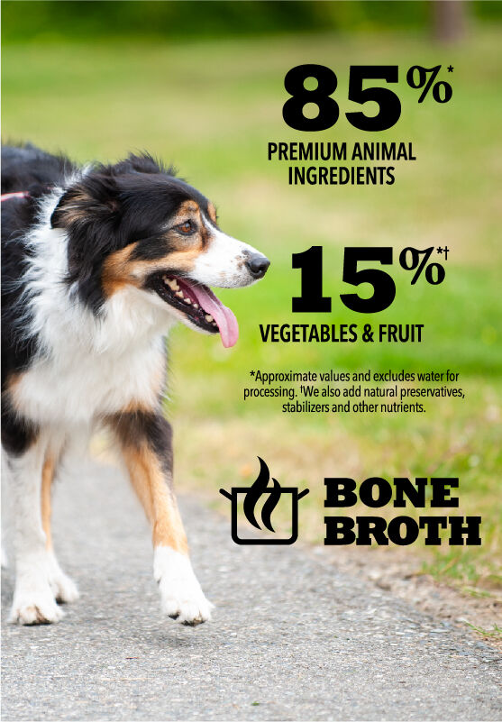 Dog bone broth vegetables shop